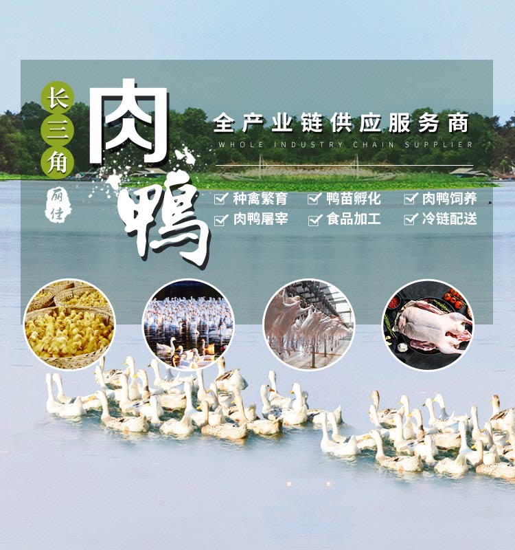 丽佳农牧